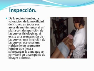 Inspección.
 De la región lumbar, la

valoración de la movilidad
del tronco en todos sus
arcos de movimiento, si es
plana con desaparición de
las curvas fisiológicas, si
existe una acentuación de
las curvas, una inversión de
las curvas, o a veces una
rigidez de un segmento
lumbar que lleva a
sobrecargar la zona que se
convierte en una especie de
bisagra dolorosa.

 