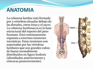 ANATOMIA
La columna lumbar está formada
por 5 vértebras situadas debajo de
las dorsales, entre éstas y el sacro.
La columna lumbosacra es la base
estructural del soporte del peso
humano. Está continuamente
expuesta a enormes tensiones
mecánicas. Estas tensiones son
soportadas por las vértebras
lumbares que son grandes cubos
de hueso normalmente
distribuidos en ligera lordosis
(abombadas anteriormente y
cóncavas posteriormente).

 