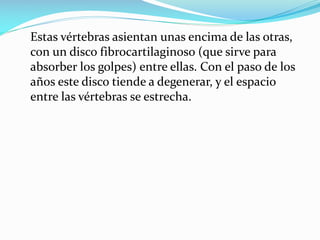 Estas vértebras asientan unas encima de las otras,
con un disco fibrocartilaginoso (que sirve para
absorber los golpes) entre ellas. Con el paso de los
años este disco tiende a degenerar, y el espacio
entre las vértebras se estrecha.

 