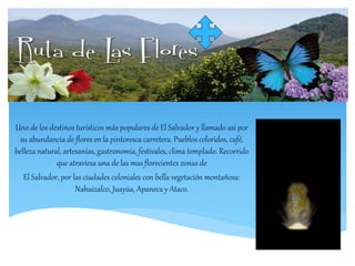 Uno de los destinos turísticos más populares de El Salvador y llamado así por 
su abundancia de flores en la pintoresca carretera. Pueblos coloridos, café, 
belleza natural, artesanías, gastronomía, festivales, clima templado. Recorrido 
que atraviesa una de las mas florecientes zonas de 
El Salvador, por las ciudades coloniales con bella vegetación montañosa: 
Nahuizalco, Juayúa, Apaneca y Ataco. 
 