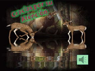 Presentación de turismo