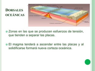DORSALES
OCEÁNICAS
 Zonas en las que se producen esfuerzos de tensión,
que tienden a separar las placas.
 El magma tenderá a ascender entre las placas y al
solidificarse formará nueva corteza oceánica.
 