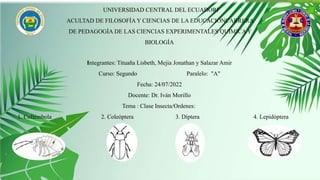 UNIVERSIDAD CENTRAL DEL ECUADORF
ACULTAD DE FILOSOFÍA Y CIENCIAS DE LA EDUCACIÓNCARRERA
DE PEDAGOGÍA DE LAS CIENCIAS EXPERIMENTALES QUIMICA Y
BIOLOGÍA
Integrantes: Tituaña Lisbeth, Mejia Jonathan y Salazar Amir
Curso: Segundo Paralelo: "A"
Fecha: 24/07/2022
Docente: Dr. Iván Morillo
Tema : Clase Insecta/Ordenes:
1. Collémbola 2. Coleóptera 3. Díptera 4. Lepidóptera
 