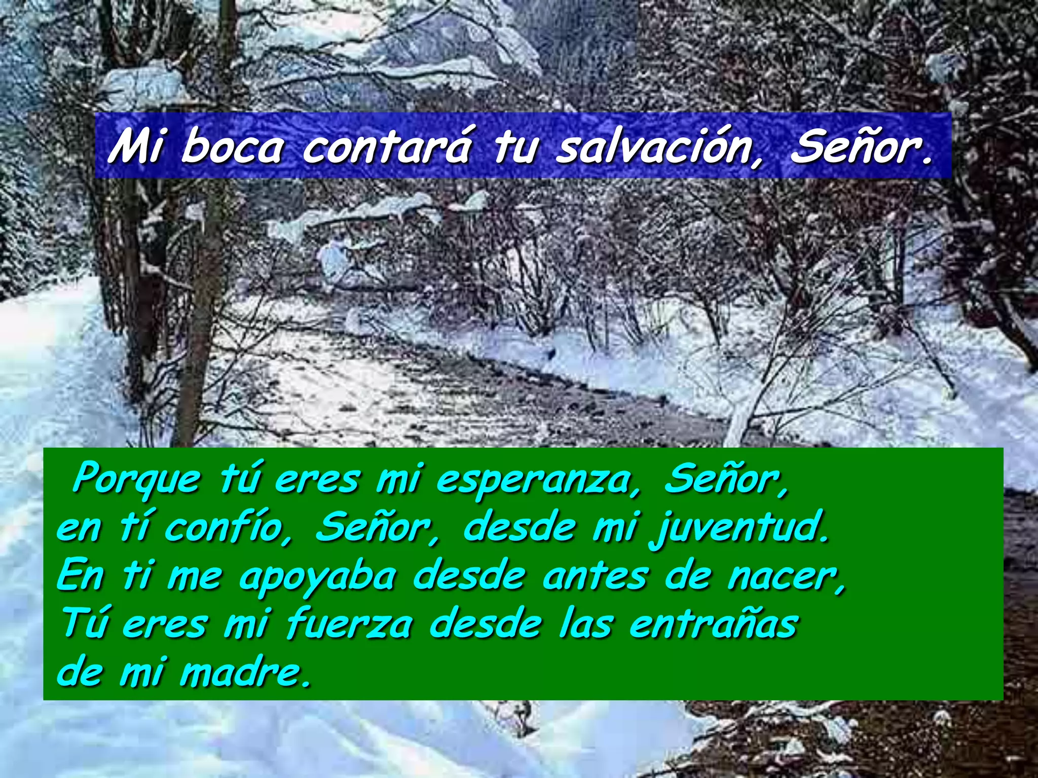 Mi boca contará tu salvación, Señor.




 Porque tú eres mi esperanza, Señor,
en tí confío, Señor, desde mi juventud.
En ti me apoyaba desde antes de nacer,
Tú eres mi fuerza desde las entrañas
de mi madre.
 