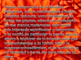 Presentación dgo  5° ord c