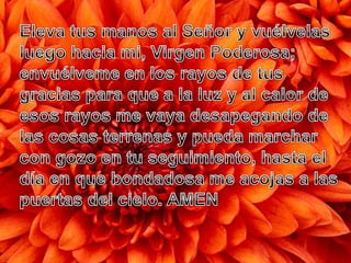 Presentación dgo  5° ord c