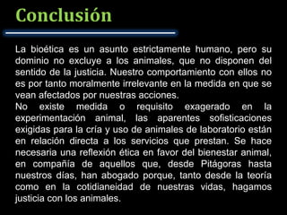 Conclusión
La bioética es un asunto estrictamente humano, pero su
dominio no excluye a los animales, que no disponen del
sentido de la justicia. Nuestro comportamiento con ellos no
es por tanto moralmente irrelevante en la medida en que se
vean afectados por nuestras acciones.
No existe medida o requisito exagerado en la
experimentación animal, las aparentes sofisticaciones
exigidas para la cría y uso de animales de laboratorio están
en relación directa a los servicios que prestan. Se hace
necesaria una reflexión ética en favor del bienestar animal,
en compañía de aquellos que, desde Pitágoras hasta
nuestros días, han abogado porque, tanto desde la teoría
como en la cotidianeidad de nuestras vidas, hagamos
justicia con los animales.
 