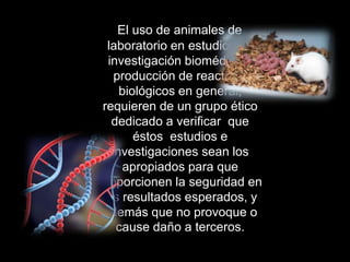 El uso de animales de
  laboratorio en estudios de
  investigación biomédica y
    producción de reactivos
     biológicos en general,
 requieren de un grupo ético
   dedicado a verificar que
        éstos estudios e
   investigaciones sean los
      apropiados para que
proporcionen la seguridad en
 los resultados esperados, y
 además que no provoque o
    cause daño a terceros.
 