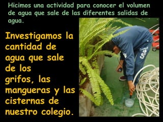 Tetrabrics: las tortugas se los tragan, les tupe el estómago y se mueren de hambre.Excrementos: se les pega en las branquias a los peces y se asfixian.Pesticidas:se filtran por la tierra y contaminan el agua, entonces los animales, las plantas y las personas pueden enfermar  y morir.