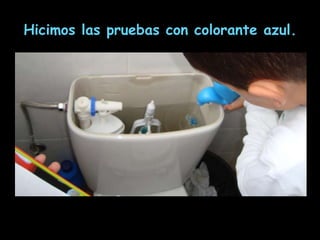 Hicimos las pruebas con colorante azul.