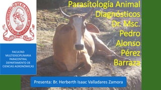 Parasitología Animal 
Diagnósticos 
Dr. Msc. 
Pedro 
Alonso 
Pérez 
Barraza 
Presenta: Br. Herberth Isaac Valladares Zamora 
FACULTAD 
MULTIDISCIPLINARIA 
PARACENTRAL 
DEPARTAMENTO DE 
CIENCIAS AGRONÓMICAS 
 