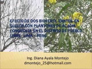 Ing. Diana Ayala Montejo [email_address] 