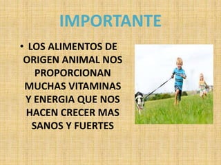 IMPORTANTE
• LOS ALIMENTOS DE
ORIGEN ANIMAL NOS
PROPORCIONAN
MUCHAS VITAMINAS
Y ENERGIA QUE NOS
HACEN CRECER MAS
SANOS Y FUERTES