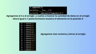 Presentacion con codigos de ejemplo en python | PPTX