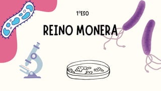 REINO MONERA
1ºESO
 