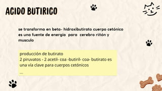 Presentación Diapositivas Veterinaria y Animales Ilustrada Marrón y ...