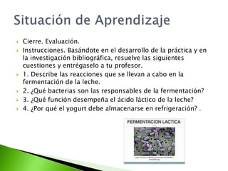  Cierre. Evaluación.
 Instrucciones. Basándote en el desarrollo de la práctica y en
la investigación bibliográfica, resuelve las siguientes
cuestiones y entrégaselo a tu profesor.
 1. Describe las reacciones que se llevan a cabo en la
fermentación de la leche.
 2. ¿Qué bacterias son las responsables de la fermentación?
 3. ¿Qué función desempeña el ácido láctico de la leche?
 4. ¿Por qué el yogurt debe almacenarse en refrigeración? .
 