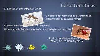 Características 
El dengue es una infección vírica. 
El nombre del mosquito que transmite la 
enfermedad es el Aedes Agypti 
El modo de transmisión es a través de la 
Picadura de la hembra infectada a un huésped susceptible. 
El virus del dengue tiene 4 serotipos: 
DEN-1, DEN-2, DEN-3 y DEN-4. 
 