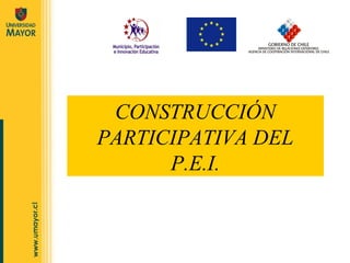 CONSTRUCCIÓN
PARTICIPATIVA DEL
      P.E.I.
 