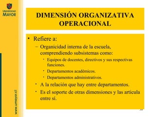 DIMENSION
  ORGANIZATIVO OPERACIONAL
• ofrece un marco para la sistematización y análisis de
  las acciones referidas a aq...