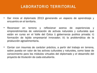 LABORATORIO TERRITORIAL

• Dar inicio al diplomado 2013 generando un espacio de aprendizaje y
  encuentro en el territorio.
 
• Reconocer en terreno y reflexionar acerca de experiencias y
  emprendimientos de valorización de activos naturales y culturales que
  están en curso en el Valle del Colca i) gobernanza publico privada; ii)
  formación de tejido empresarial innovador; iii) la problemática de la
  producción agroalimentaria.

• Contar con insumos de carácter práctico, a partir del trabajo en terreno,
  sobre puesta en valor de los activos culturales y naturales, como base de
  conocimiento para los módulos virtuales del diplomado y el desarrollo del
  proyecto de titulación de cada estudiante.
 