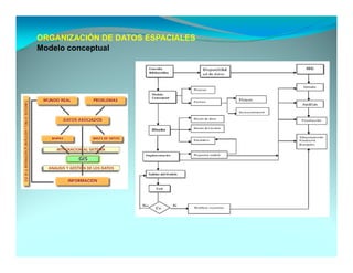 ORGANIZACIÓN DE DATOS ESPACIALES
Modelo conceptual
 