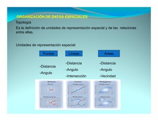 ORGANIZACIÓN DE DATOS ESPACIALES
Topología
Es la definición de unidades de representación espacial y de las relaciones
entre ellas.


Unidades de representación espacial:

                Puntos
                P t             Líneas
                                Lí                     Áreas
                                                       Á

                               -Distancia           -Distancia
              -Distancia
                               -Angulo              -Angulo
              -Angulo
                               -Intersección        -Vecindad
 