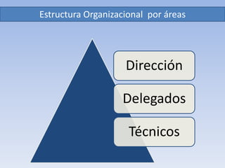 Estructura Organizacional  por áreas