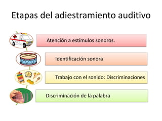 Etapas del adiestramiento auditivo

        Atención a estímulos sonoros.


            Identificación sonora


            Trabajo con el sonido: Discriminaciones


        Discriminación de la palabra
 