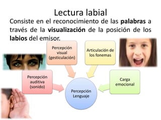 Lectura labial
Consiste en el reconocimiento de las palabras a
través de la visualización de la posición de los
labios del emisor.
                    Percepción
                                     Articulación de
                      visual
                                      los fonemas
                  (gesticulación)



     Percepción
                                                         Carga
      auditiva
                                                       emocional
      (sonido)
                              Percepción
                               Lenguaje
 
