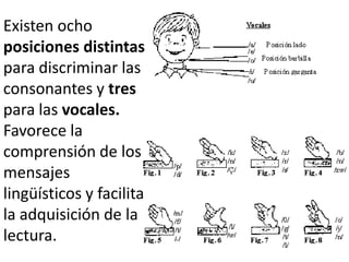 Existen ocho
posiciones distintas
para discriminar las
consonantes y tres
para las vocales.
Favorece la
comprensión de los
mensajes
lingüísticos y facilita
la adquisición de la
lectura.
 