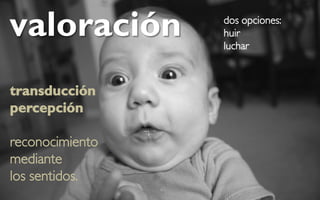 ¿Estás buscando el código HTML y el enlace al archivo de la foto? Consulta esta pregunta frecuente




   valoración                                                                                        dos opciones:
                                                                                                     huir
                                                                                                     luchar



   transducción
   percepción

   reconocimiento
   mediante
   los sentidos.
 