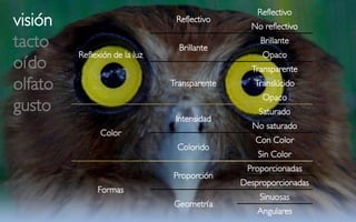 Reflectivo
visión                          Reflectivo
                                                No reflectivo
tacto                            Brillante
                                                  Brillante
         Reflexión de la luz                       Opaco
oído                                            Transparente
olfato                         Transparente      Translúcido
                                                   Opaco
gusto                                             Saturado
                                Intensidad
                                                No saturado
               Color
                                                 Con Color
                                Colorido
                                                  Sin Color
                                               Proporcionadas
                               Proporción
                                              Desproporcionadas
              Formas
                                                  Sinuosas
                               Geometría
                                                  Angulares
 