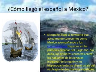 ¿Cómo llegó el español a México?El español llegó al territorio que actualmente conocemos como México acompañando a los conquistadores hispanos en las primeras décadas del [[siglo XVI. Sin duda, los primeros contactos entre los hablantes de las lenguas indígenas de la región y los hispanoparlantes se dieron a raíz del naufragio de dos marinos españoles.