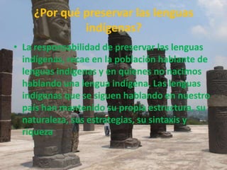 ¿Por qué preservar las lenguas indígenas?La responsabilidad de preservar las lenguas indígenas, recae en la población hablante de lenguas indígenas y en quienes no nacimos hablando una lengua indígena. Las lenguas indígenas que se siguen hablando en nuestro país han mantenido su propia estructura, su naturaleza, sus estrategias, su sintaxis y riqueza