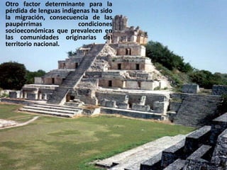Otro factor determinante para la pérdida de lenguas indígenas ha sido la migración, consecuencia de las paupérrimas condiciones socioeconómicas que prevalecen en las comunidades originarias del territorio nacional.