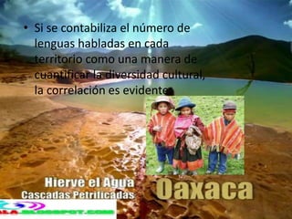 Si se contabiliza el número de lenguas habladas en cada territorio como una manera de cuantificar la diversidad cultural, la correlación es evidente.