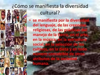 ¿Cómo se manifiesta la diversidad cultural?se manifiesta por la diversidad del lenguaje, de las creencias religiosas, de las prácticas del manejo de la tierra, en el arte, en la música, en la estructura social, en la selección de los cultivos, en la dieta y en todo número concebible de otros atributos de la sociedad humana.
