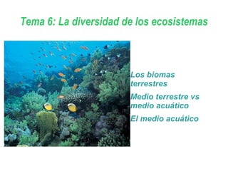 Tema 6: La diversidad de los ecosistemas
Los biomas
terrestres
Medio terrestre vs
medio acuático
El medio acuático
 