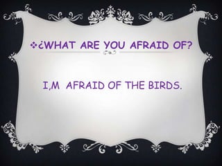 ¿WHAT ARE YOU AFRAID OF? I,M  AFRAID OF THE BIRDS. 