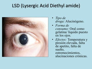 LSD (Lysergic Acid Diethyl amide) 
• Tipo de 
droga: Alucinógeno. 
• Forma de 
consumo: Oral como 
gelatina/ líquido puesto 
en los ojos. 
• Efectos: Temperatura y 
presión elevada, falta 
de apetito, falta de 
sueño, 
estremecimientos, 
alucinaciones crónicas. 
 