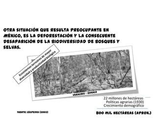 Otra situación que resulta preocupante en
México, es la deforestación y la consecuente
desaparición de la biodiversidad de bosques y
selvas.




                                      22 millones de hectáreas
                                       Políticas agrarias (1930)
                                      Crecimiento demográfico
     Fuente: Céspedes (2003)       800 mil hectáreas (aprox.)
 