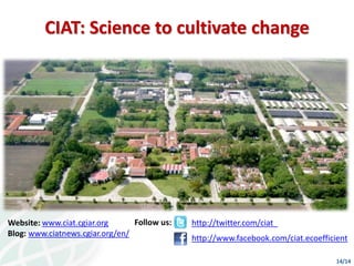 Presentación e. guimaraes casa abierta ciat 2013