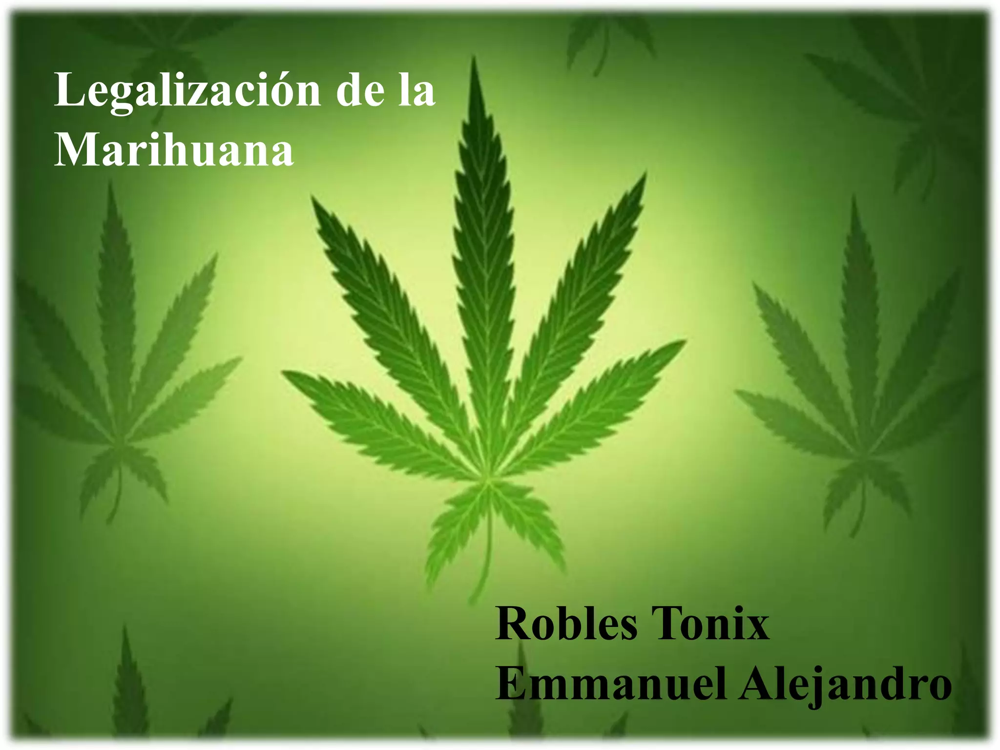Ensayo De La Legalizacion De La Marihuana