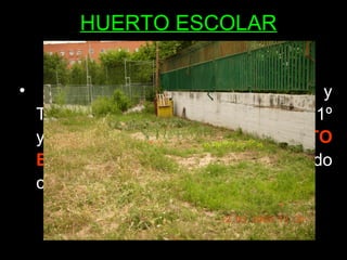 HUERTO ESCOLAR


•       En Educación Física, Biología y
    Tecnología, parte del alumnado de 1º
    y 2º ESO continúa con el HUERTO
    ESCOLAR comenzado el pasado
    curso. ¡Pásate a verlo!
 