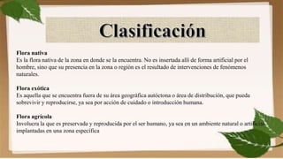 Flora nativa
Es la flora nativa de la zona en donde se la encuentra. No es insertada allí de forma artificial por el
hombre, sino que su presencia en la zona o región es el resultado de intervenciones de fenómenos
naturales.
Flora exótica
Es aquella que se encuentra fuera de su área geográfica autóctona o área de distribución, que pueda
sobrevivir y reproducirse, ya sea por acción de cuidado o introducción humana.
Flora agrícola
Involucra la que es preservada y reproducida por el ser humano, ya sea en un ambiente natural o artificial
implantadas en una zona específica
 