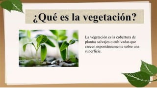 La vegetación es la cobertura de
plantas salvajes o cultivadas que
crecen espontáneamente sobre una
superficie.
 