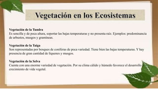 Vegetación de la Tundra
Es sencilla y de poca altura, soportar las bajas temperaturas y no presenta raíz. Ejemplos: predominancia
de arbustos, musgos y gramíneas.
Vegetación de la Taiga
Son representadas por bosques de coníferas de poca variedad. Tiene bien las bajas temperaturas. Y hay
presencia de gran cantidad de líquenes y musgos.
Vegetación de la Selva
Cuenta con una enorme variedad de vegetación. Por su clima cálido y húmedo favorece el desarrollo y
crecimiento de vida vegetal.
 