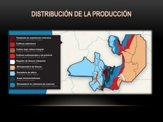 DISTRIBUCIÓN DE LA PRODUCCIÓN
 