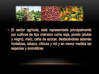 • El sector agrícola, está representado principalmente
  por cultivos de tipo intensivo como soja, poroto (alubia
  y negro), maíz, caña de azúcar, destacándose además
  hortalizas, tabaco, cítricos y vid y en menor medida las
  especias y aromáticas.
 